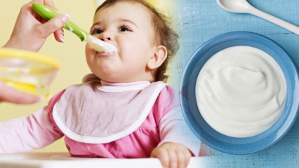 Cum se prepară iaurt pentru bebeluși? Retete de iaurt cu fructe de casa pentru bebelusi