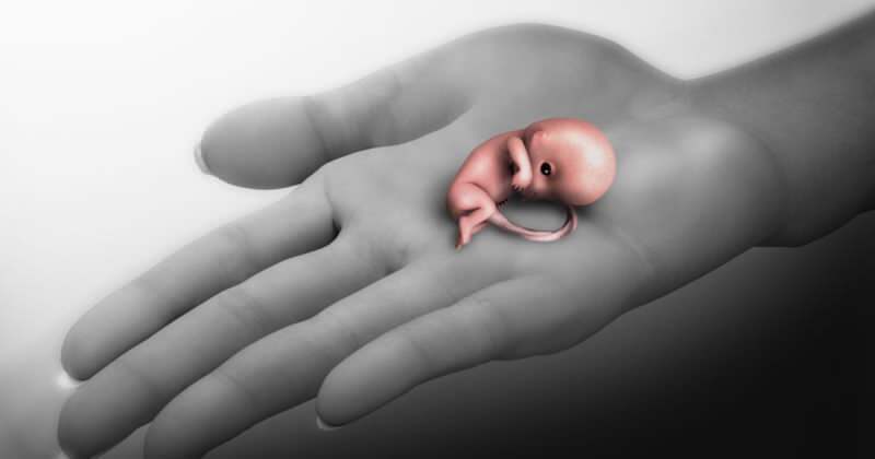 Ce este un avort spontan? Simptome de avort spontan în timpul sarcinii