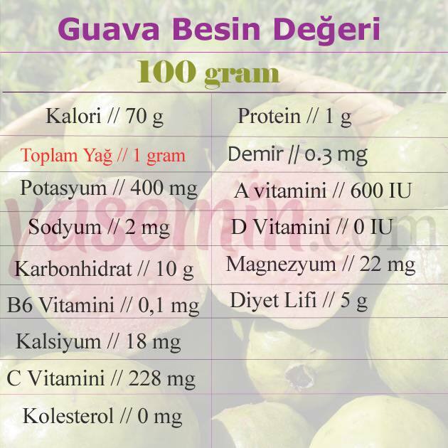 valoarea nutritivă a guava