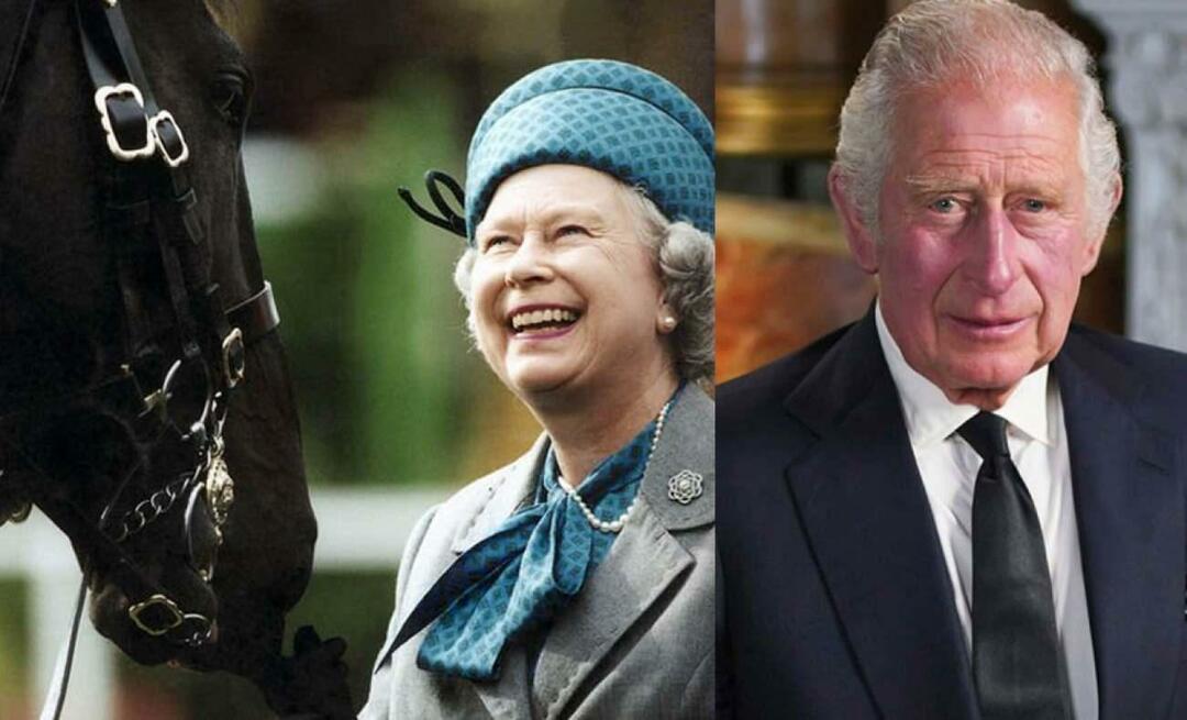 Regele III. Regina Carol al II-lea Lipsa de respect față de moștenirea Elisabetei! Câștigătorul va vinde caii