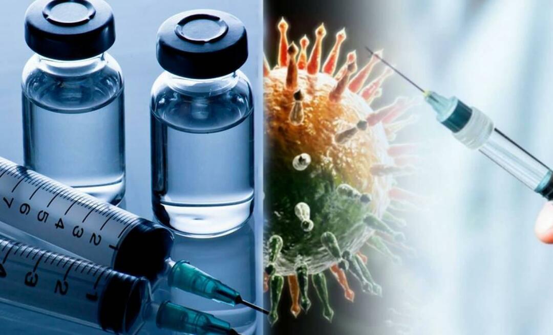 Care sunt prețurile vaccinului antigripal? Unde se vor vinde vaccinurile antigripal? Cine va primi vaccinul antigripal?