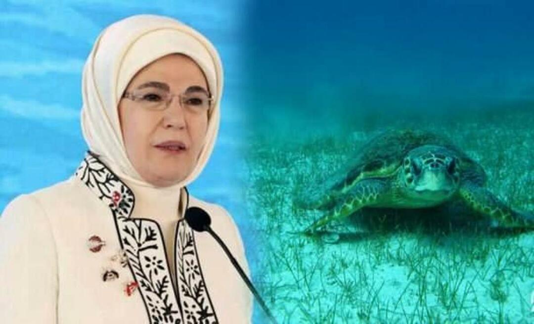 Împărtășirea „broaștei țestoase” de la Emine Erdoğan: „Atâta timp cât îi protejăm, ei vor continua să trăiască”