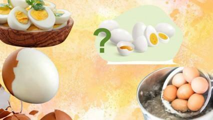 Dieta cu ou fiert! Oul te ține plin? 12 kilograme într-o săptămână 