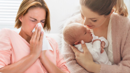 Cum trece gripa la mamele care alăptează? Cele mai eficiente soluții pe bază de plante pentru gripa pentru mamele care alăptează