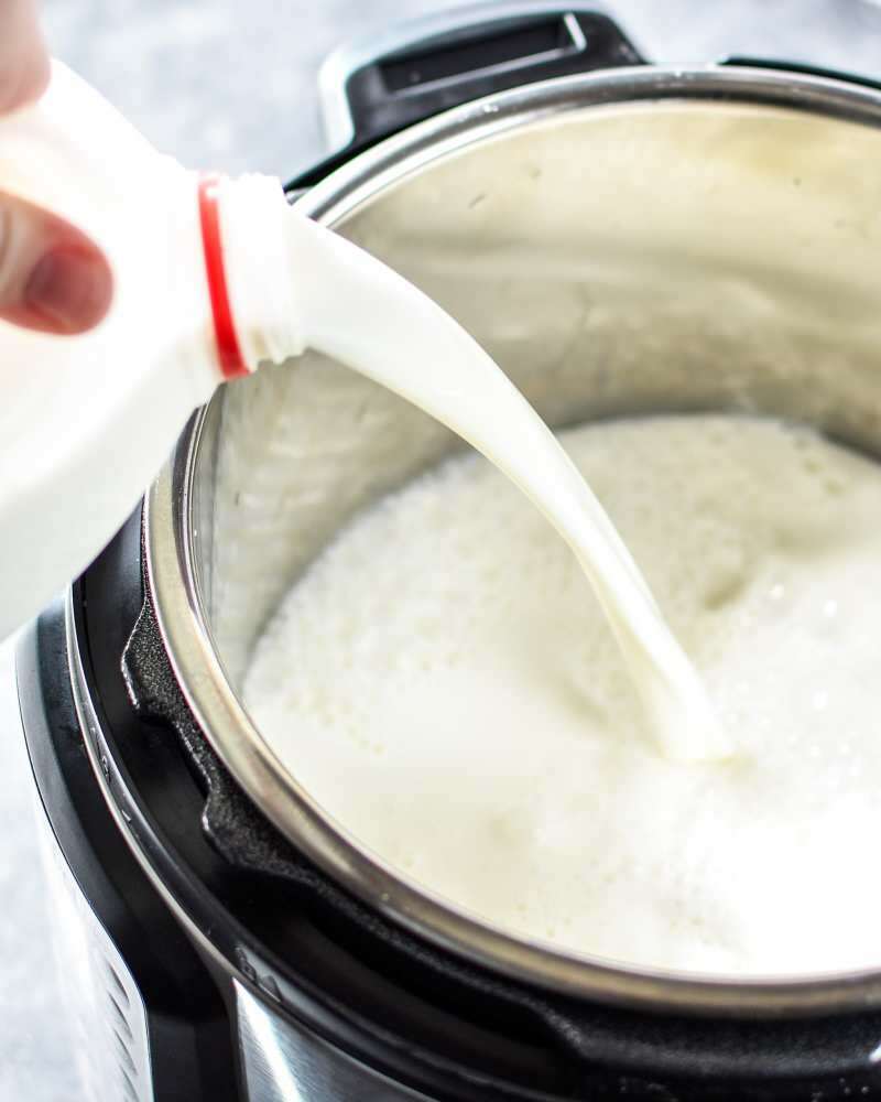 Este dificil să păstrezi consistența iaurtului de bivoliță de apă
