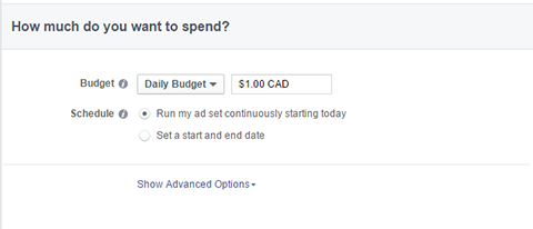 opțiuni bugetare pentru reclame pe Facebook