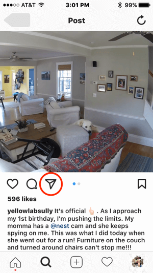 Dacă Nest dorea să contacteze acest utilizator Instagram pentru permisiunea de a-și folosi conținutul, ar putea iniția comunicarea atingând pictograma mesajului direct.