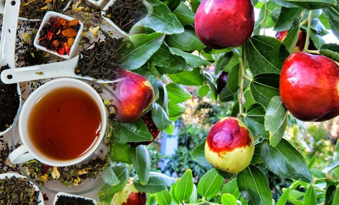 Care sunt beneficiile ceaiului de jujube recomandat de Ibn Sina? La ce este bun ceaiul de jujube?