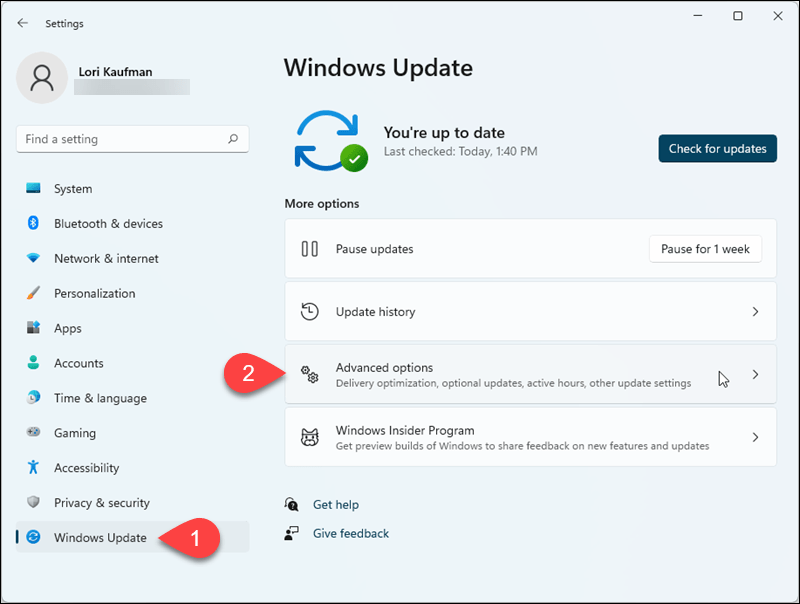 Accesați Windows Update> Opțiuni avansate din Setări Windows 11