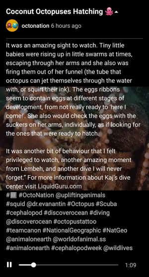 Descrierea videoclipului IGTV cu apel la acțiune pentru linkul bio faceți clic pe @octonation.