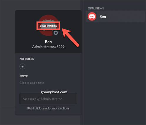 Vizualizarea unui profil de utilizator pe Discord