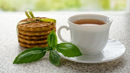 Care sunt avantajele busuiocului? Unde este folosit busuiocul? Cum se prepară ceaiul de busuioc?