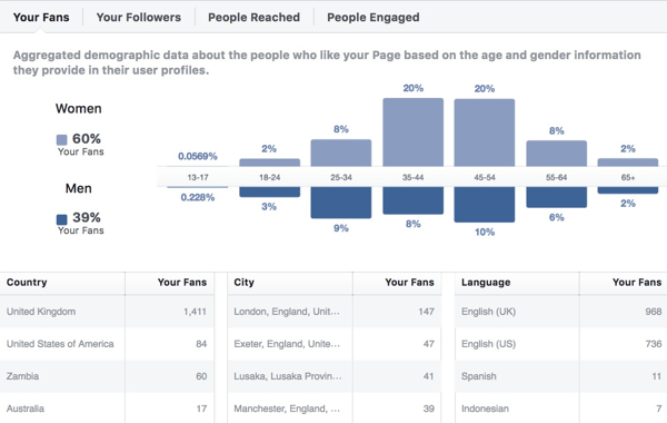 Date demografice despre publicul Facebook Insights.