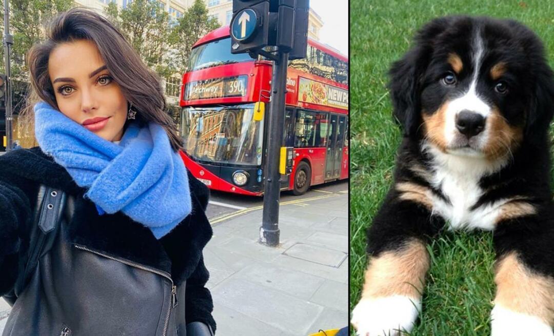Actrița Tuvana Türkay și-a dat viața pentru câinele ei!
