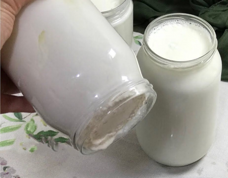 Care este modalitatea ușoară de a prepara iaurt? Făcând iaurt ca o piatră acasă! Beneficiul iaurtului de casă