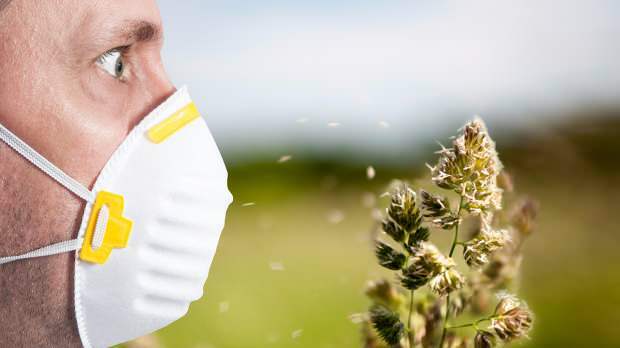 alergia de primăvară este cauzată de polen, animale de companie, temperatură crescută și praf