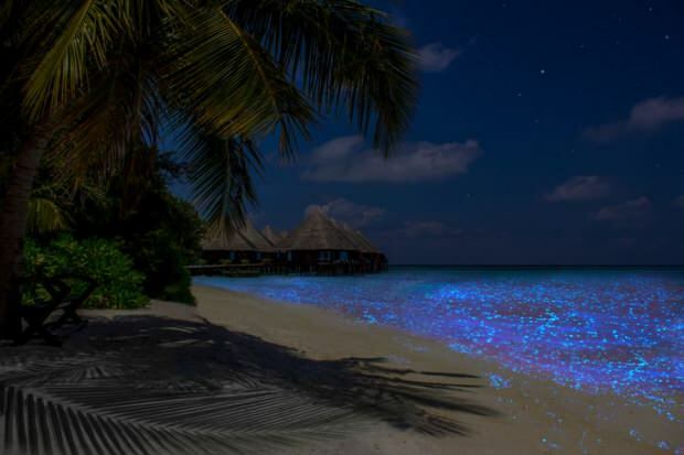 Insulele Maldive Vaadhoo