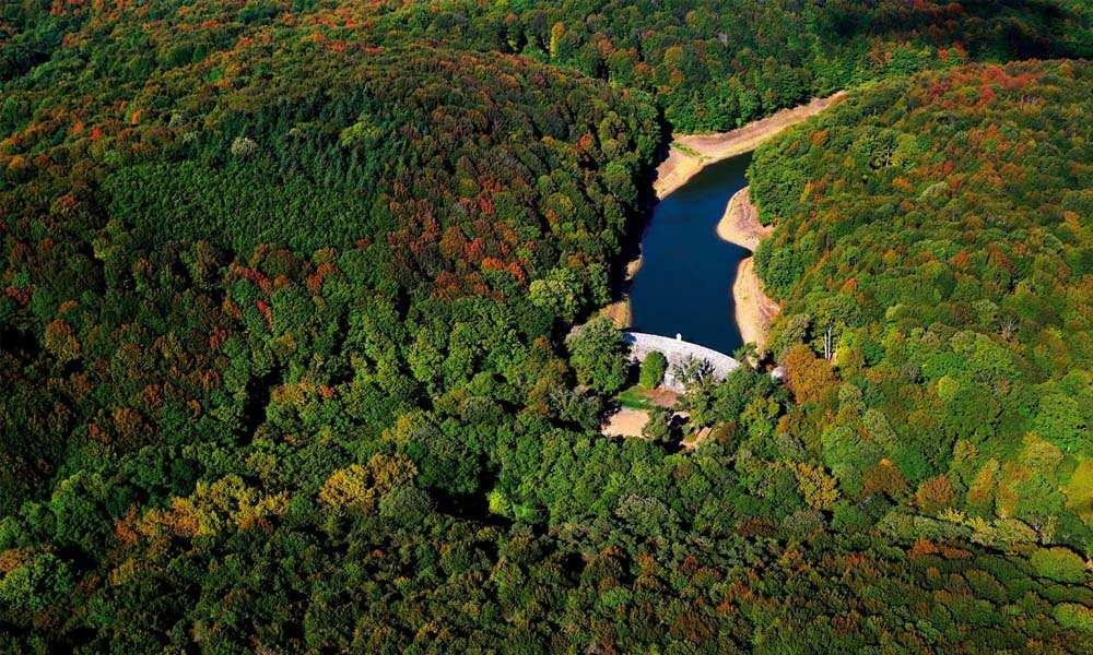 Pădurea Belgrad