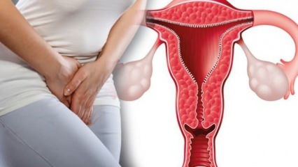Ce se îngroașă peretele uterin? Cât trebuie să fie grosimea peretelui uterin în timpul sarcinii?
