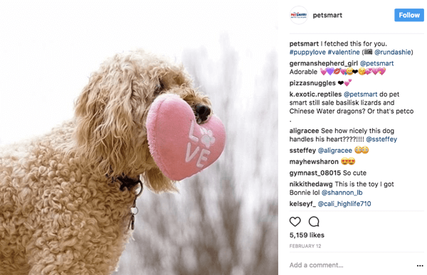 Când PetSmart redistribuie fotografiile utilizatorilor pe Instagram, aceștia acordă credit fotografiei posterului original din legenda.