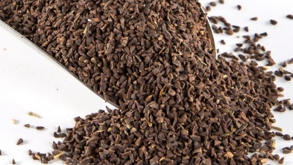 Care sunt avantajele semințelor Uzerlik? Cum să faci peste semințele de ceai Üzerlik?