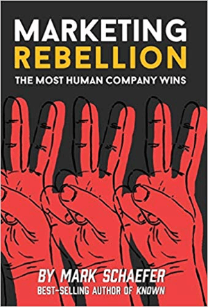 Marketing Rebellion: The Most Human Company Winks scris de Mark Schaefer.
