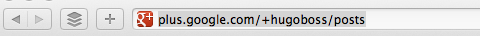 google + URL personalizat