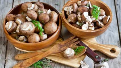 Cum se curăță ciupercile? Care sunt sfaturile pentru spălarea ciupercilor?