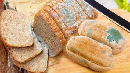 Cum să previi formarea pâinii în Ramadan? Modalități de a preveni ca pâinea să devină învechită și mucegăită