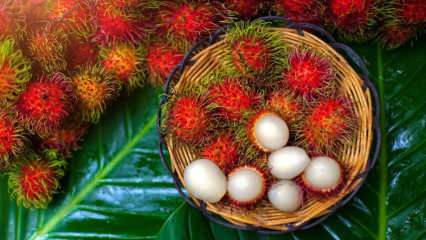 Ce este Rambutan? Care sunt avantajele fructelor din Rambutan? Cum să mănânci rambutan?