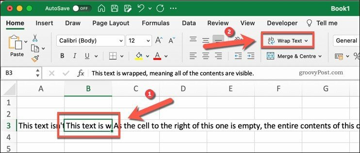 Butonul Wrap Text din Microsoft Excel