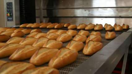 Experții au avertizat: Introduceți pâinea în cuptorul cu 90 de grade timp de 10 minute