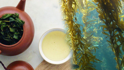 Care sunt avantajele mușchiului? Cum se prepară ceaiul din alge marine și la ce este bine?