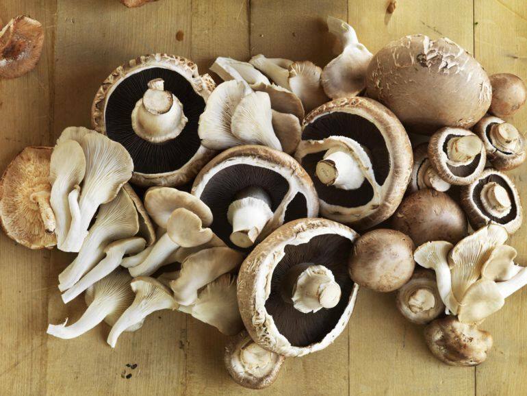 Trucuri pentru a ști când gătiți ciupercile