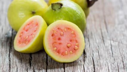 Ce este fructul Guava? Care sunt avantajele?