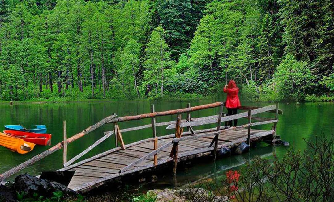 Unde este Artvin? Unde să mergi în Artvin? Care sunt locurile de vizitat în Artvin?