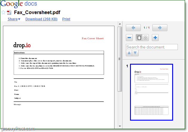 Google Doc Viewer pentru documente de pe computer