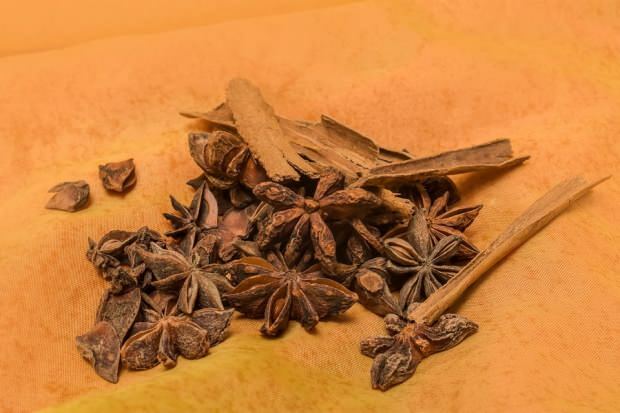Care sunt avantajele semințelor de anason? Cum se prepară ceaiul de anason și ce face?