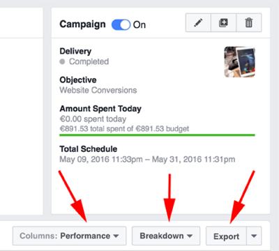 Facebook ads manager export rezultate