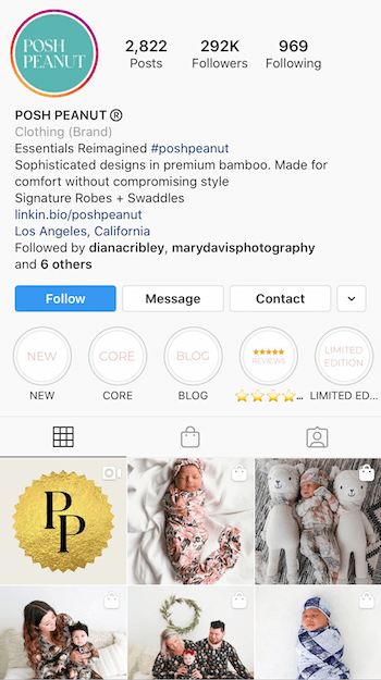exemplu de bio Instagram optimizat pentru afaceri