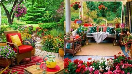 Flori pe care le poți folosi în grădină și balcoane toamna!