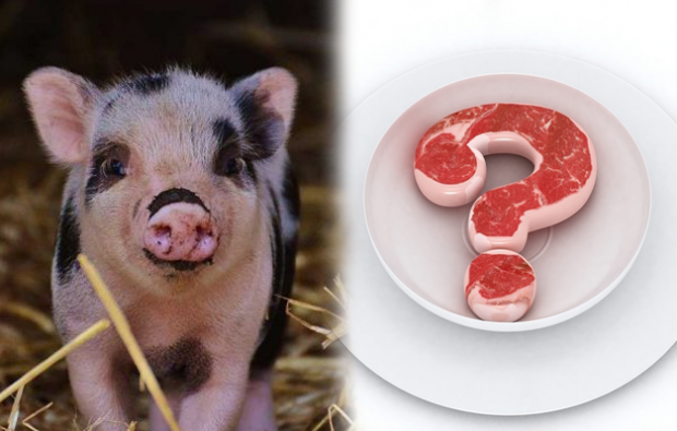 Este interzis să mănânci carne de porc?