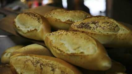 Cum se evaluează pâinea neîncetată? Retete facute cu paine rasa