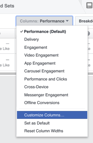 În Managerul de anunțuri, faceți clic pe Coloane și alegeți Personalizați coloanele din lista derulantă.