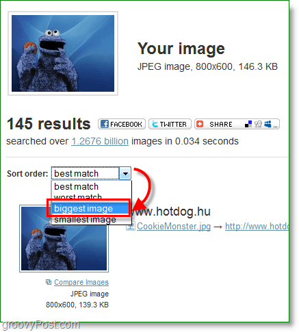Screenshot TinEye - sortarea rezultatelor imaginii
