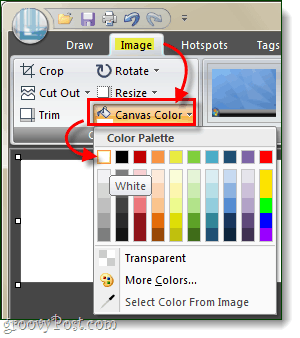 schimba culoarea panza 10 snagit