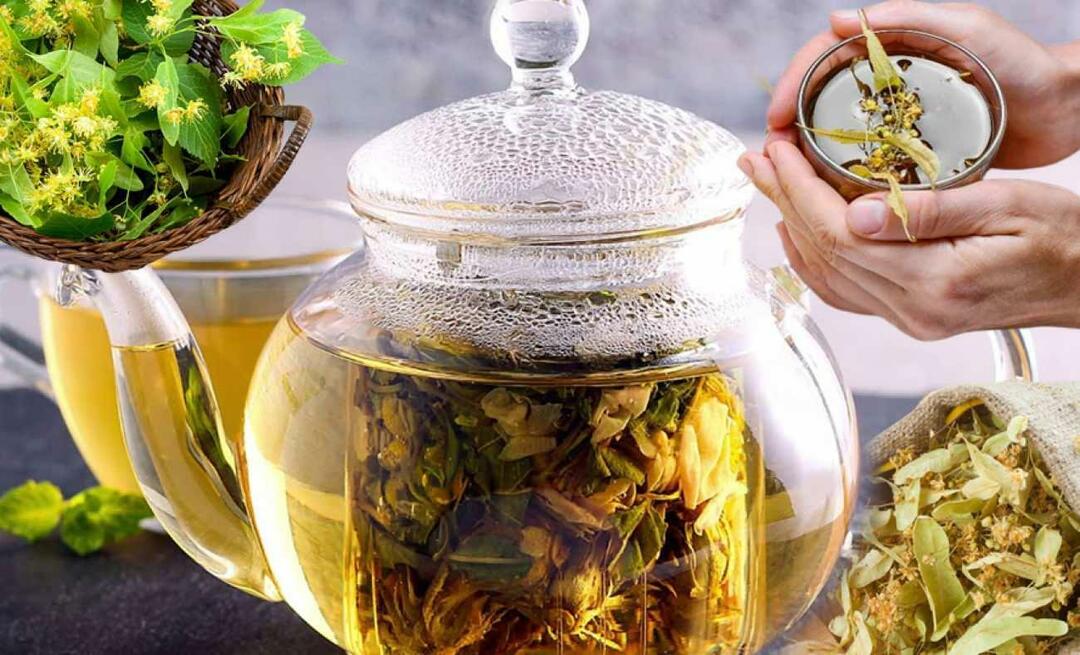 Cum se prepară teiul? Teiul este preparat sau fiert? Beneficiile ceaiului de tei