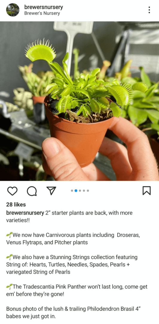 imaginea postării pe feed Instagram care arată un produs
