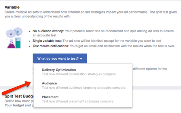 Selectați ce variabilă să testați în campania dvs. Facebook.