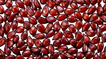 Care sunt avantajele semințelor de gutui pentru piele? Cum se aplică semințele de gutui pe piele?